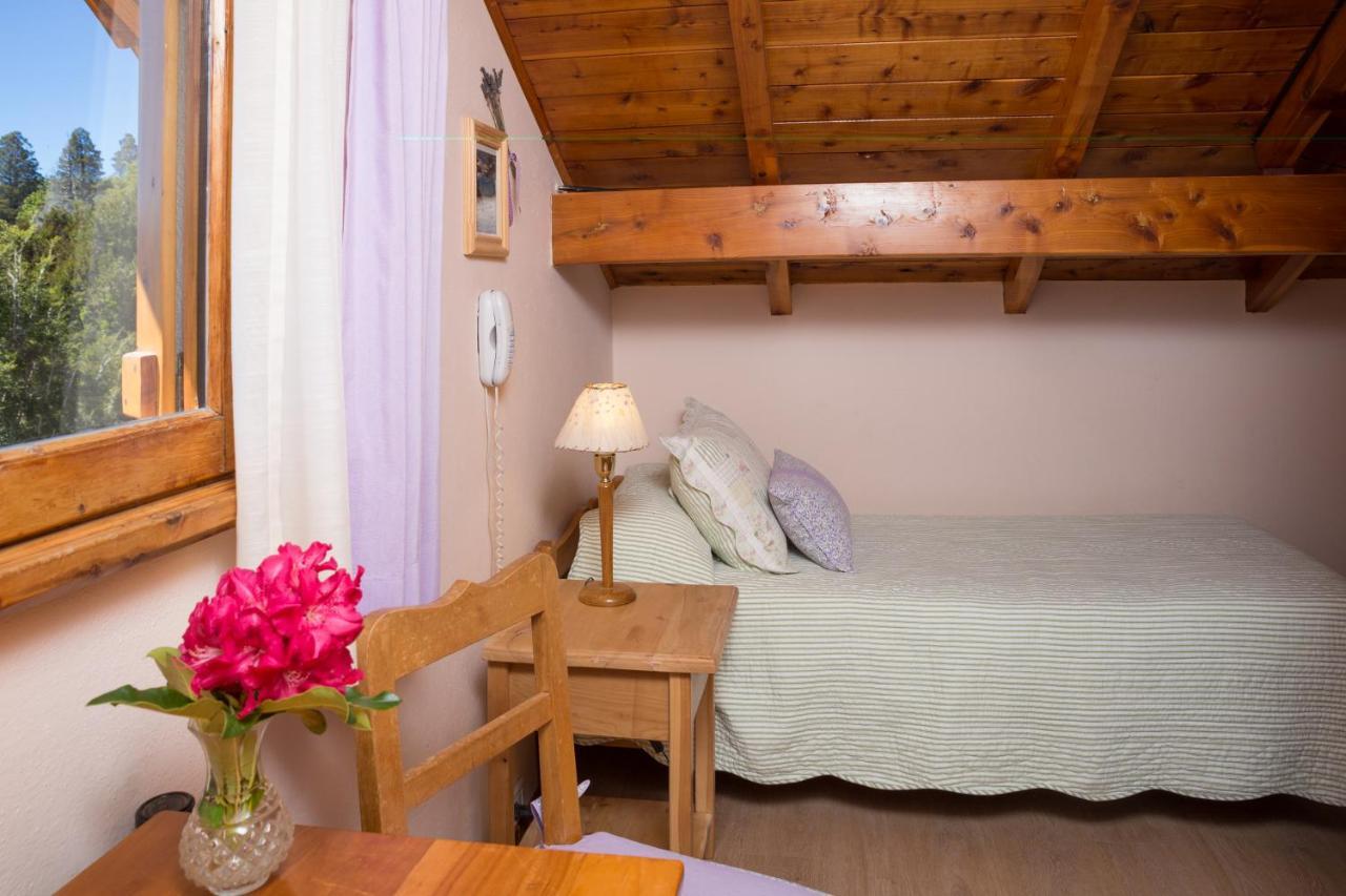 Hosteria Katy San Carlos de Bariloche Dış mekan fotoğraf