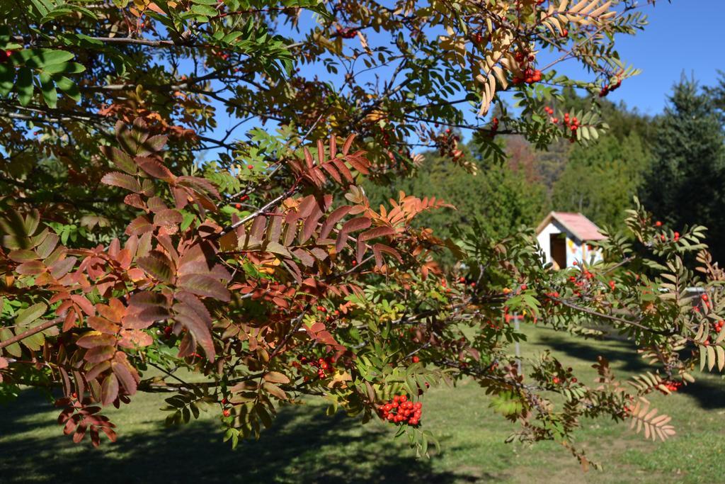 Hosteria Katy San Carlos de Bariloche Dış mekan fotoğraf