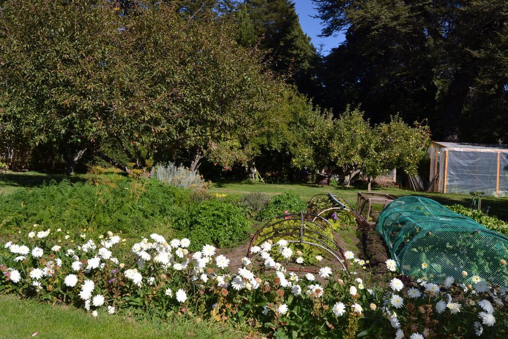 Hosteria Katy San Carlos de Bariloche Dış mekan fotoğraf