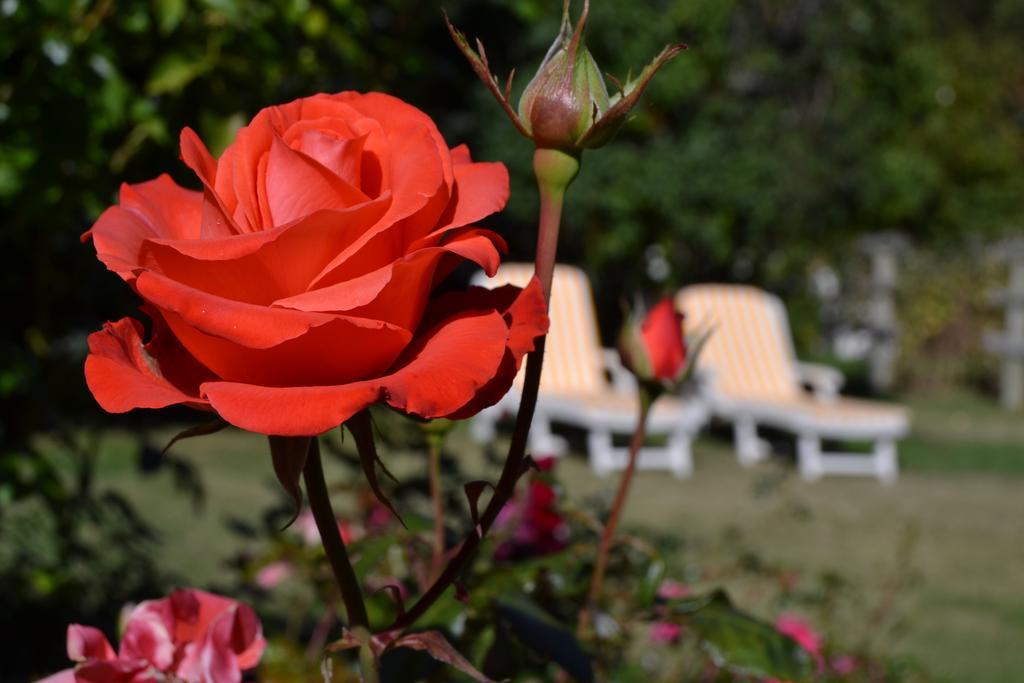 Hosteria Katy San Carlos de Bariloche Dış mekan fotoğraf