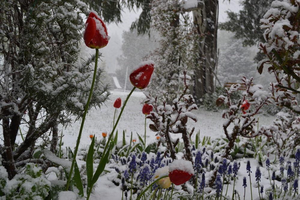 Hosteria Katy San Carlos de Bariloche Dış mekan fotoğraf